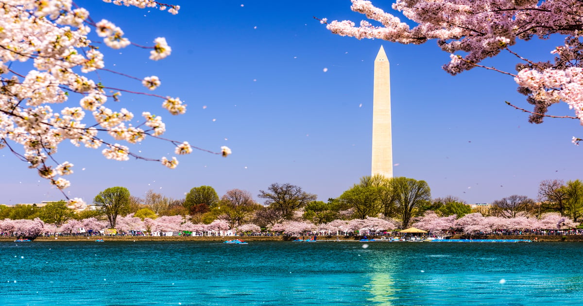 Senate eyes more spectrum for 5G – but not lower 3 GHz